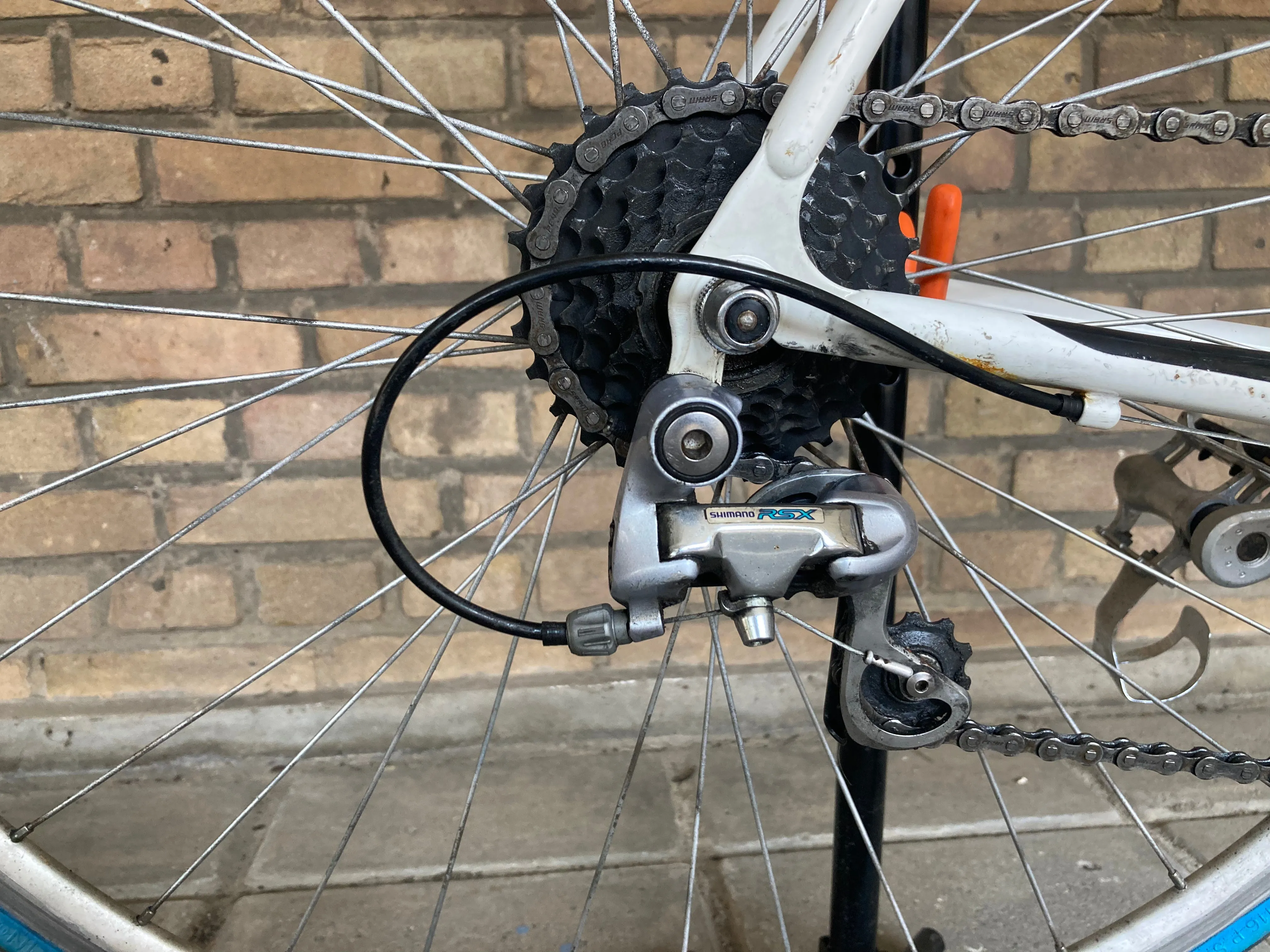 1998 Peugeot Festina Team Replica 56cm Shimano RSX