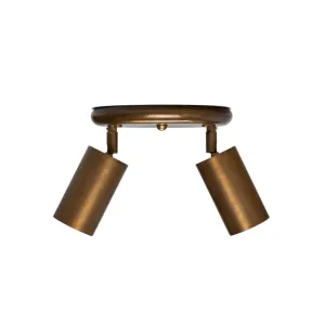 Evanston brass 2-spotlight | antique brass