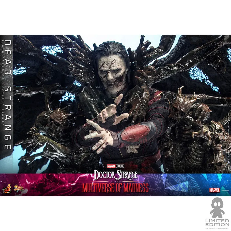 Hot Toys Figura Articulada Dead Strange Escala 1:6 Doctor Strange In The Multiverse Of Madness