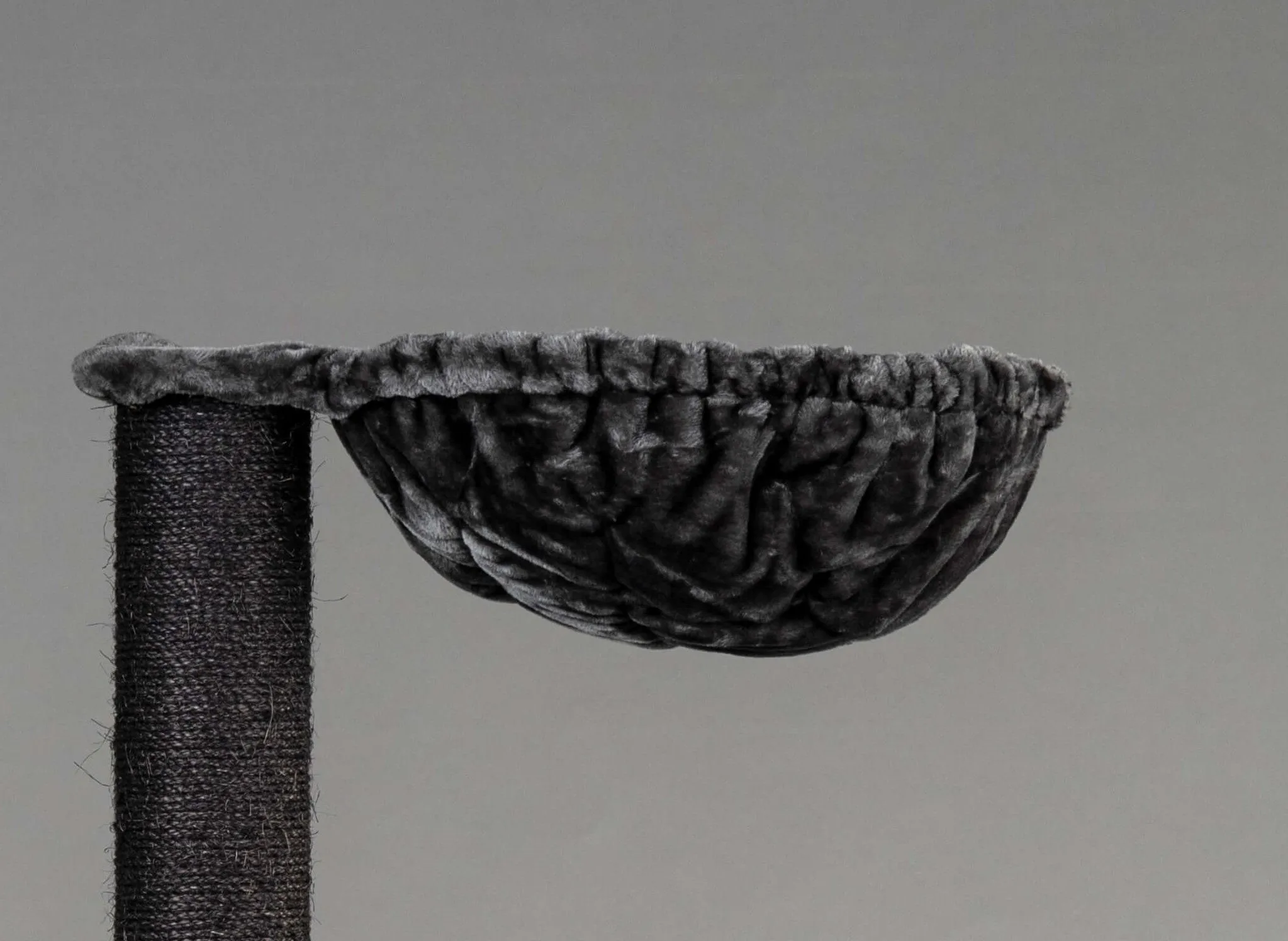 Kilimandjaro Blackline Gris Oscuro Crown