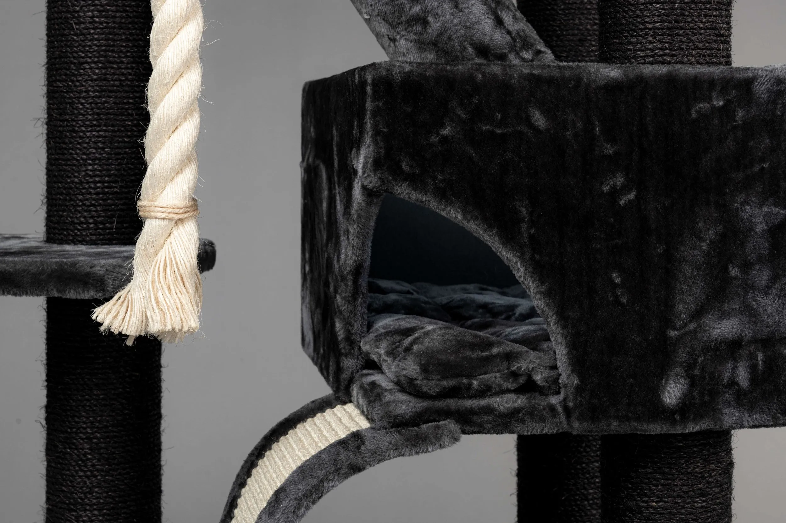 Kilimandjaro Blackline Gris Oscuro Crown