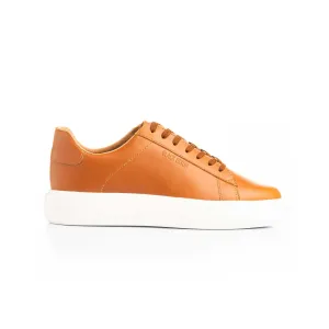 Miel 54
