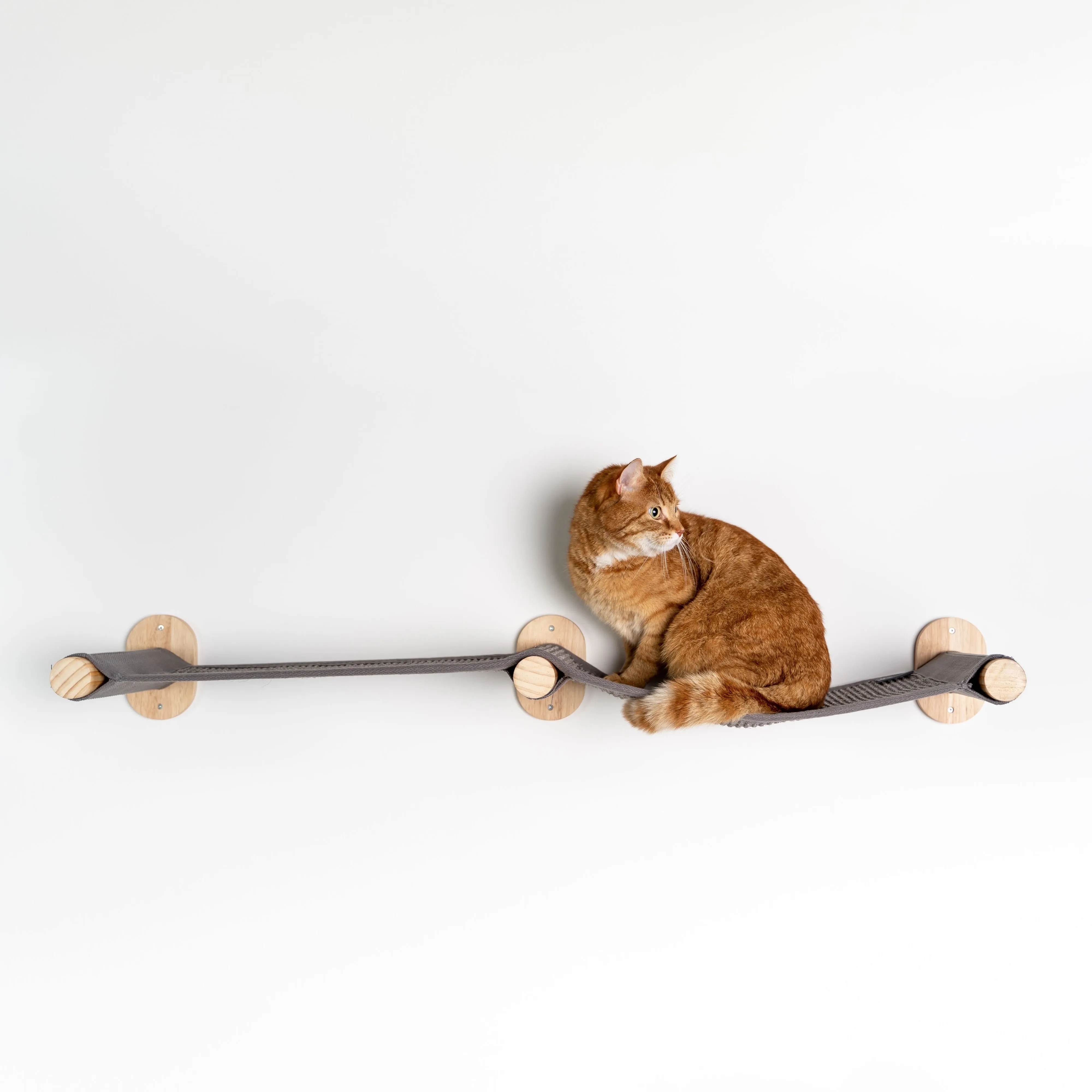 Muro Escalada Para Gatos - Puente (Blackline)