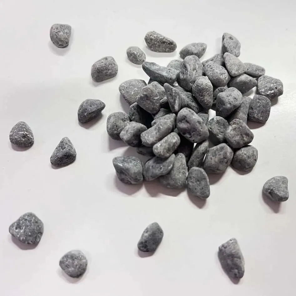 Piedra Negra acuarios
