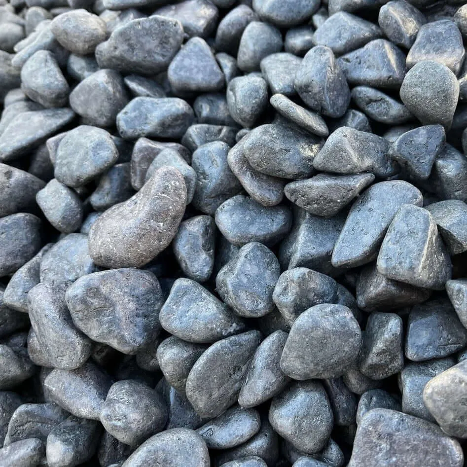 Piedra Negra acuarios