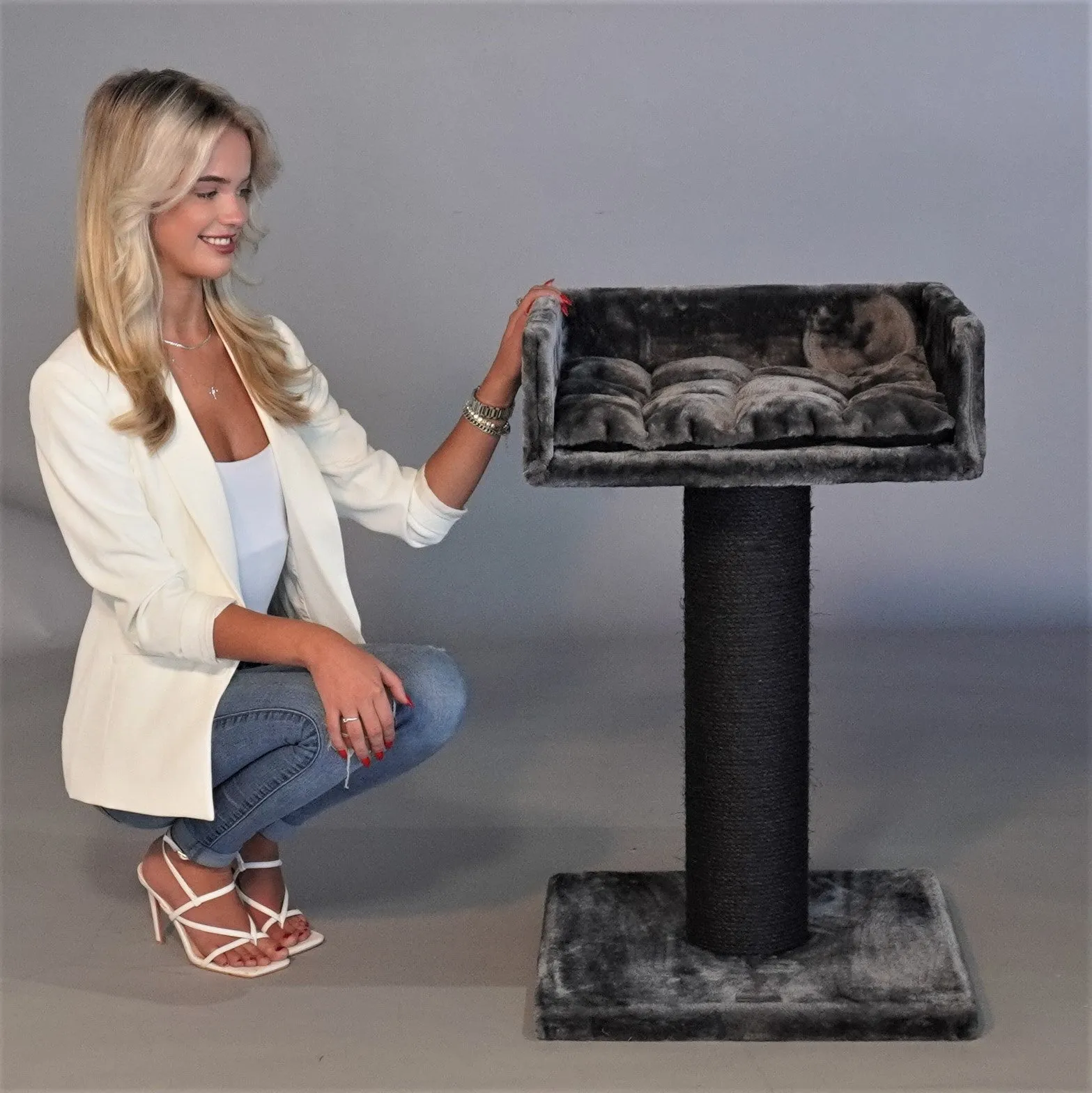 Luxurious Dark Gray Ragdoll Lounge Cat Scratcher - Blackline Edition